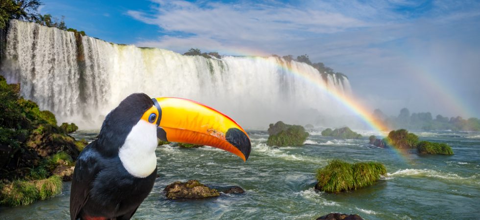 Foto: Junior Braz / Shutterstock.com