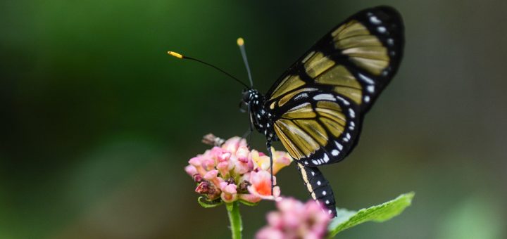 Foto: Marco Ankosqui / MTur