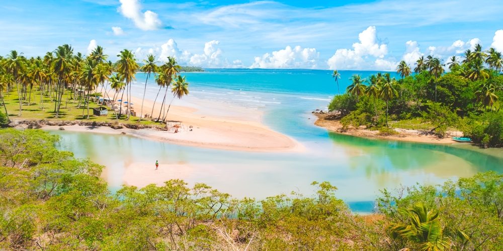 Foto: Samuel Ericksen / Shutterstock.com