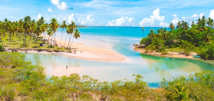 Foto: Samuel Ericksen / Shutterstock.com