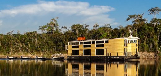 Foto: Divulgação / Untamed Amazon