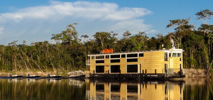 Foto: Divulgação / Untamed Amazon