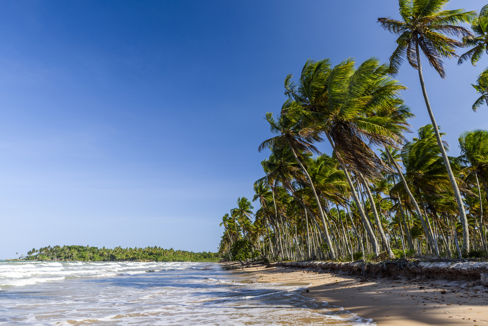 Foto: Vitor Marigo / Shutterstock.com