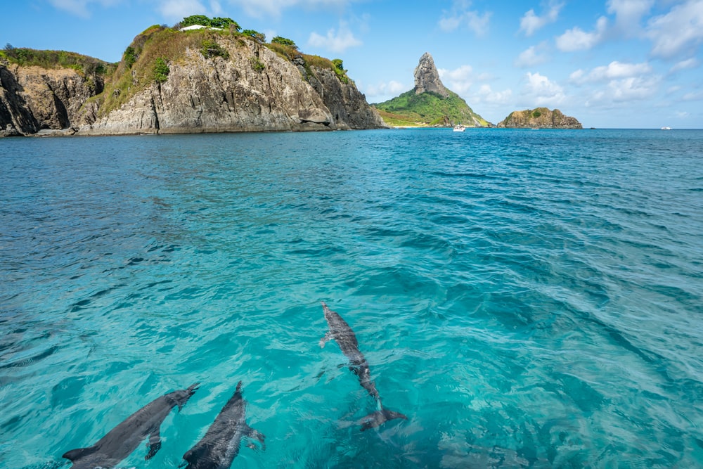 Foto: Paula Montenegro / Shutterstock.com