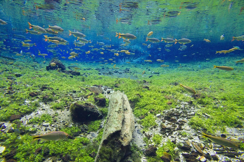 Foto: Daniel Granville