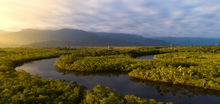 Foto: Gustavo Frazão / Shutterstock.com