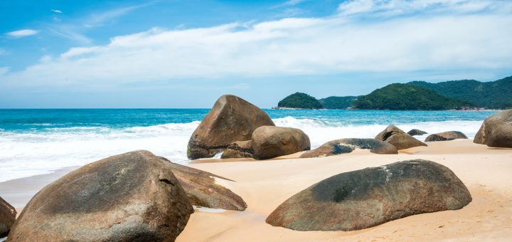 Foto: Ksenia Ragozina / Shutterstock.com