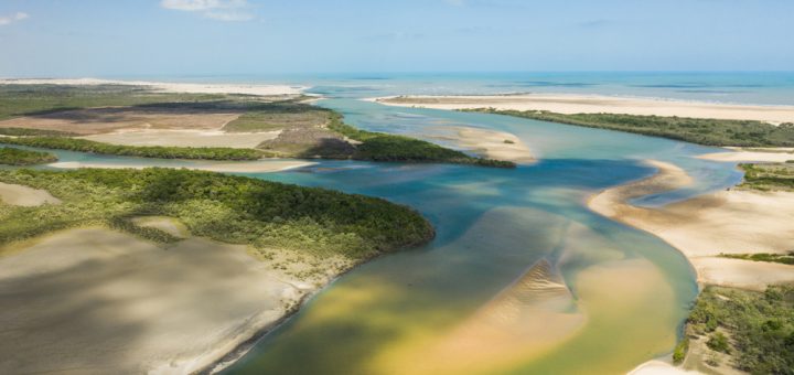 Foto: Marcelo F Junior / Shutterstock.com