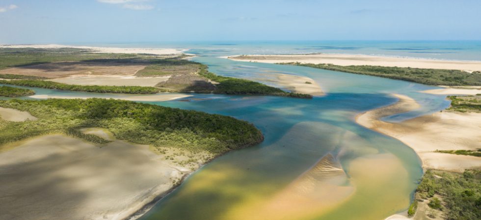 Foto: Marcelo F Junior / Shutterstock.com