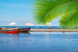 Foto: rocharibeiro / Shutterstock.com