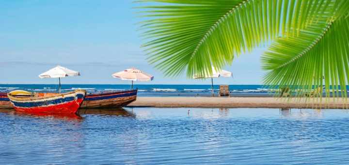 Foto: rocharibeiro / Shutterstock.com