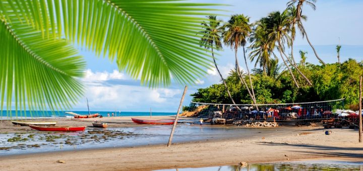 Foto: rocharibeiro / Shutterstock.com