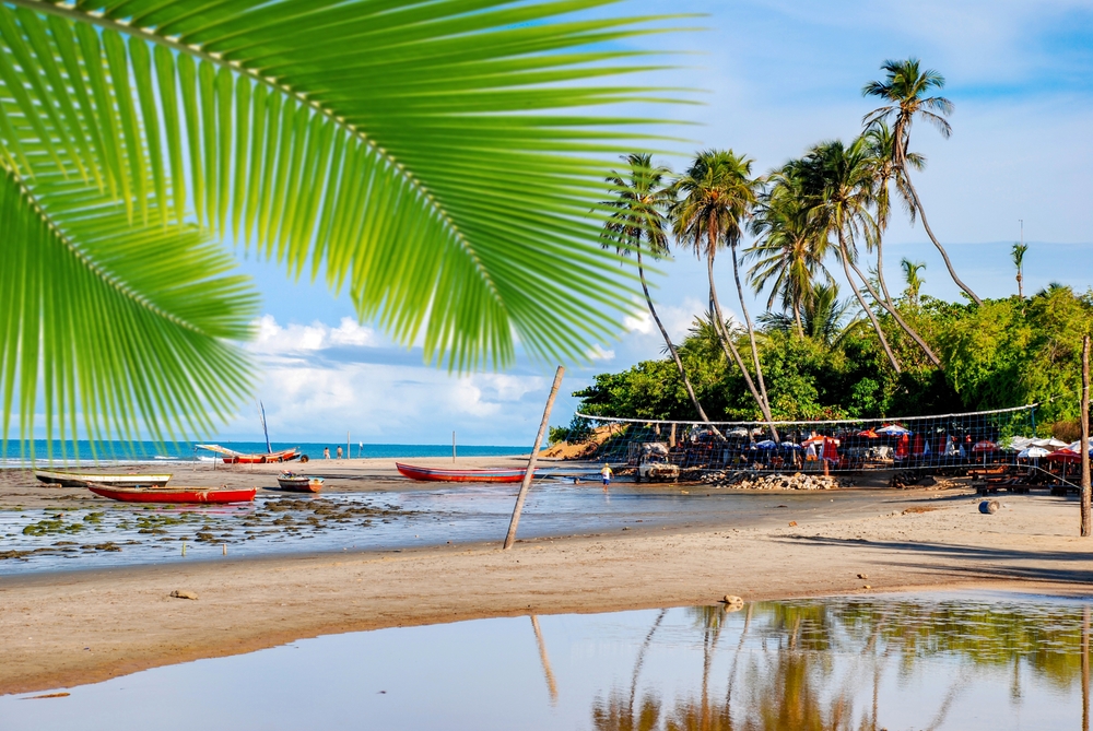 Foto: rocharibeiro / Shutterstock.com