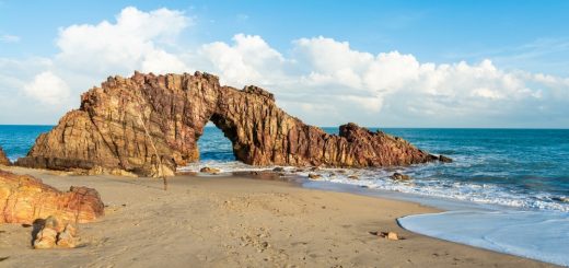 Foto: windwalk / Shutterstock.com