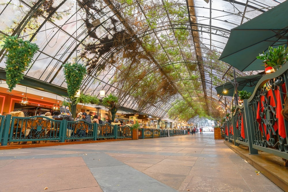 Foto: Vinicius Bacarin / Shutterstock.com