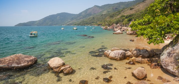 Foto: Luciano Queiroz / Shutterstock.com