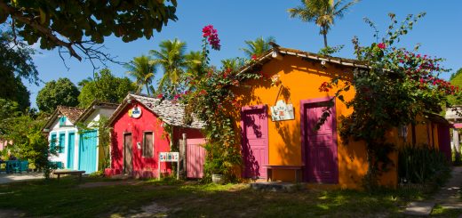 Foto: Edu Lyra / Shutterstock.com