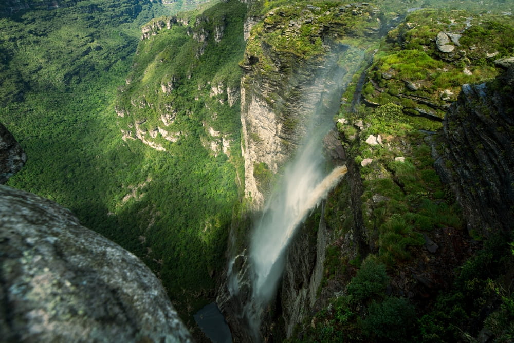 Foto: Felipe Duenas / Shutterstock.com