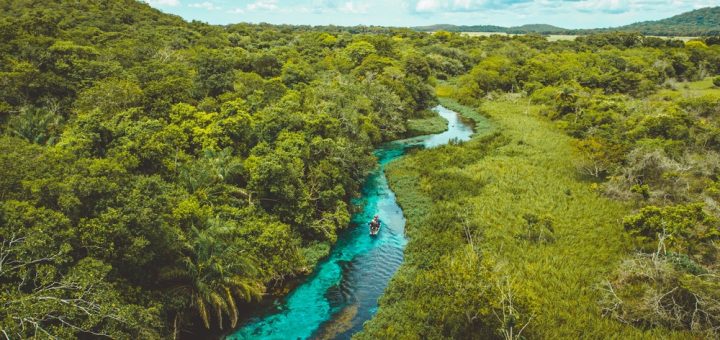 Foto: Paulo Henrique Pigozzi / Shutterstock.com