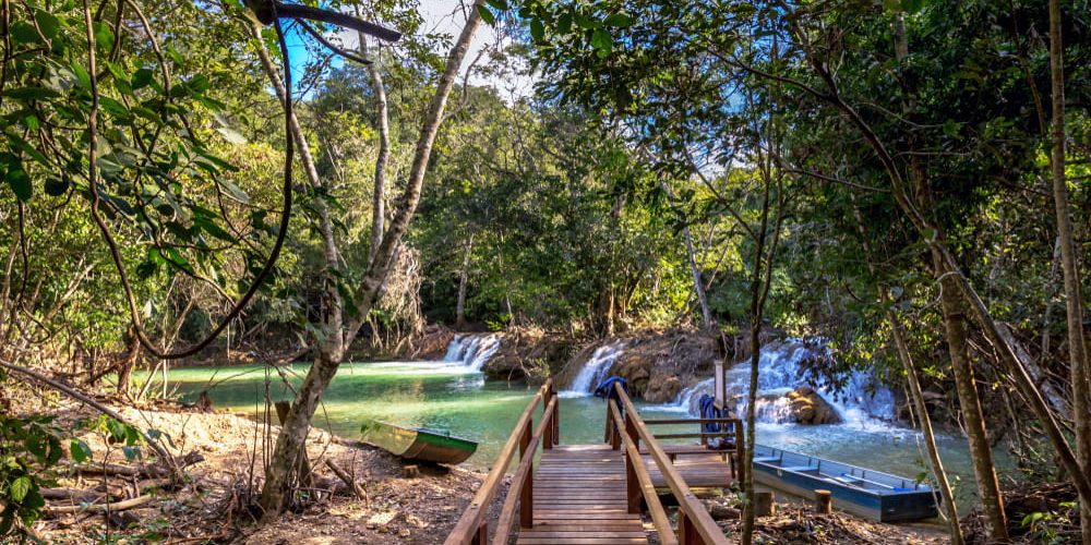 Foto: LMspencer / Shutterstock.com