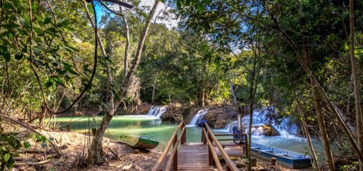 Foto: LMspencer / Shutterstock.com