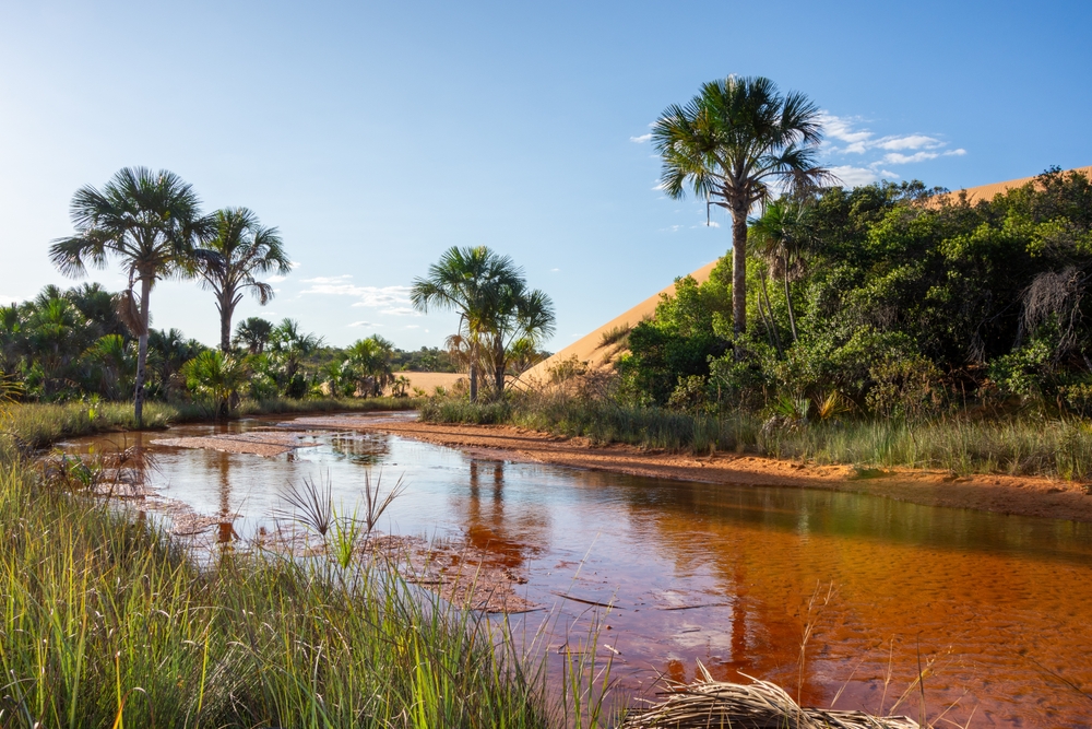 Foto: Bernard Barroso / Shutterstock.com