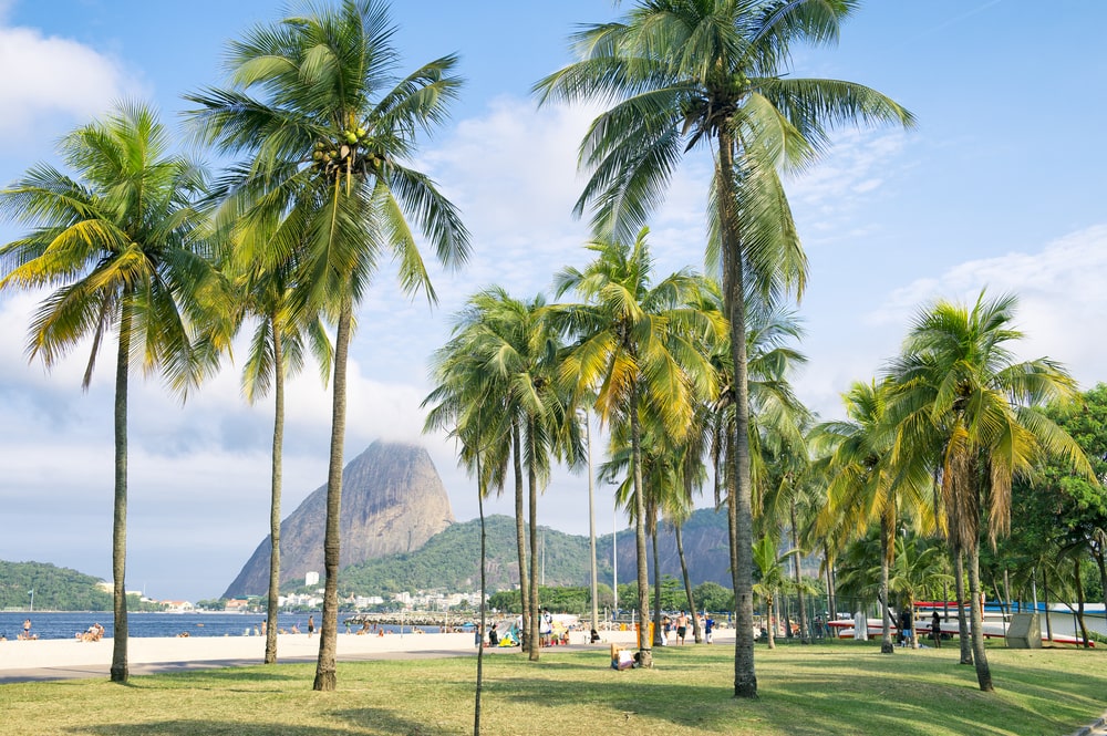 Foto: lazyllama / Shutterstock.com