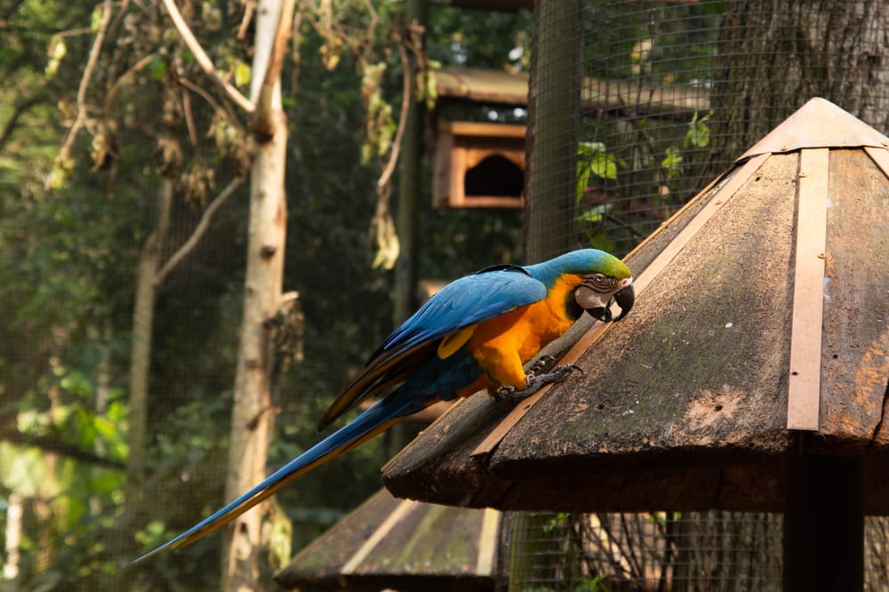 Foto: Alena Zharava / Shutterstock.com