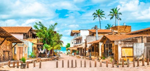 Foto: Caminhos me levem / Shutterstock.com