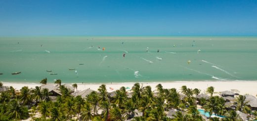 Foto: Marcelo F Junior / Shutterstock.com