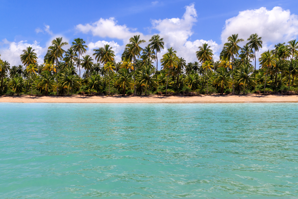 Foto: Luis Carlos Torres / Shutterstock.com