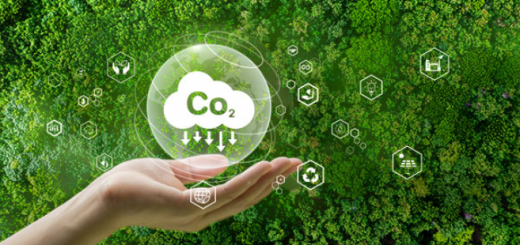 Imagem utilizada conforme a licença do Shutterstock.com