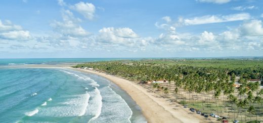 Foto: Ricardo Cohen / Shutterstock.com