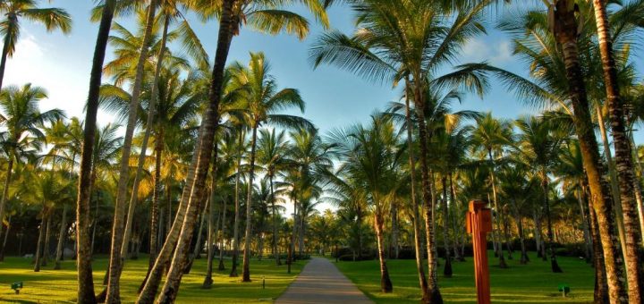 Foto: Divulgação / Transamerica Comandatuba All Inclusive