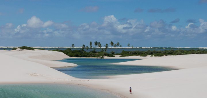 Foto: Marcos Velloso / Shutterstock.com