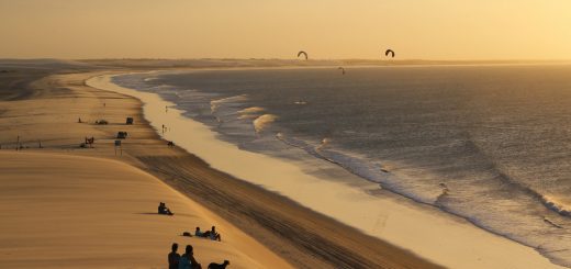 Foto: Pinkcandy / Shutterstock.com