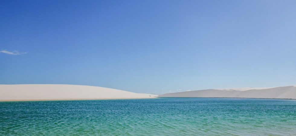 Foto: Diogo Akitaya / Shutterstock.com