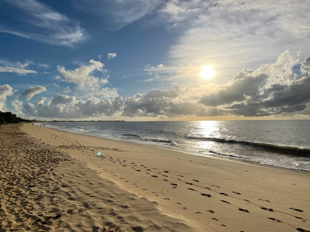 Foto: Edward Rosa Shutterstock.com