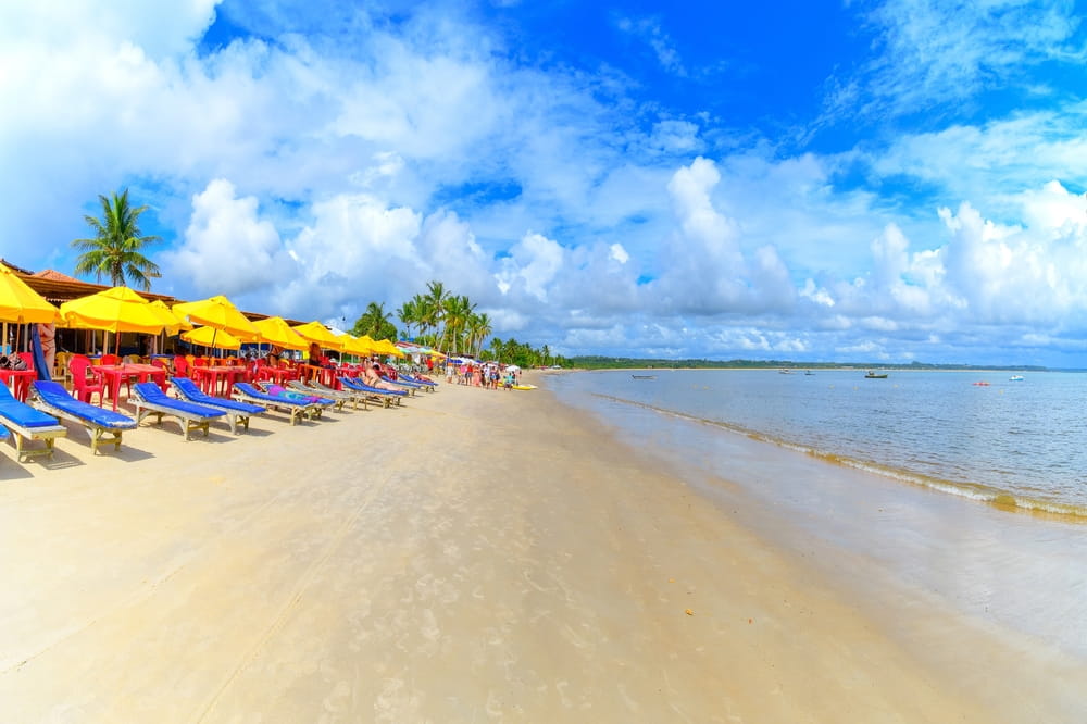 Foto: Vinicius Bacarin / Shutterstock.com