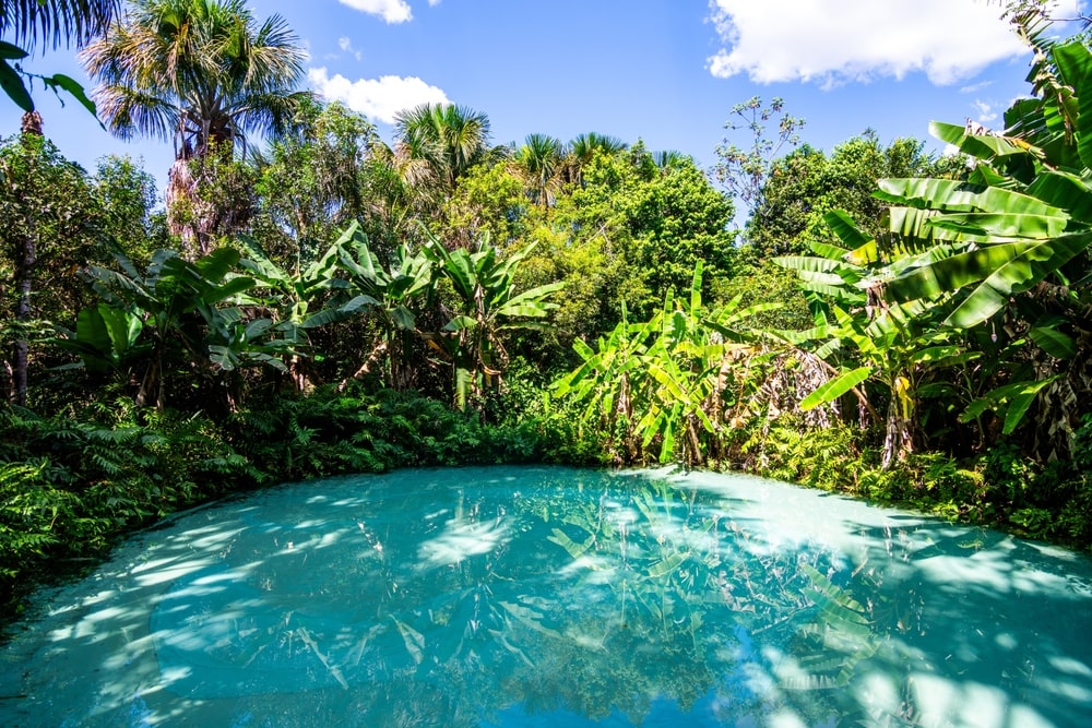 Foto: Bernard Barroso / Shutterstock.com