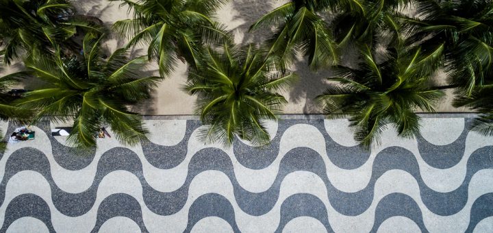 Foto: ESB Professional / Shutterstock.com