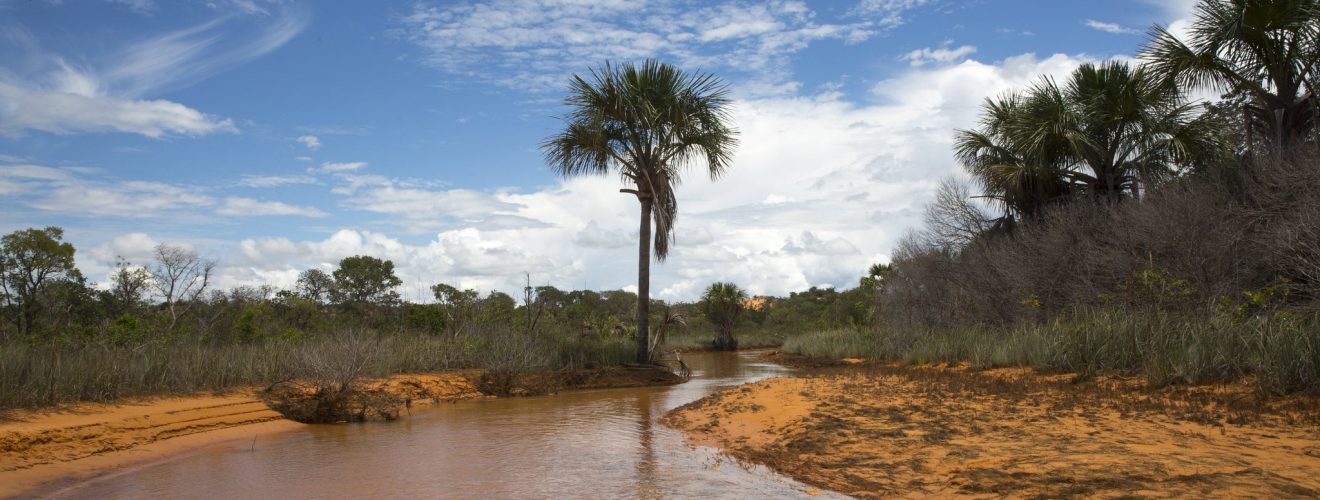 Foto: Flavio Andre / MTur