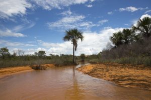 Foto: Flavio Andre / MTur