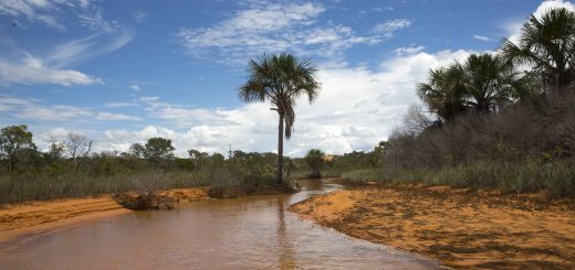 Foto: Flavio Andre / MTur