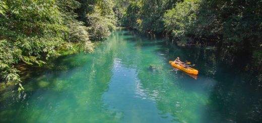 Foto: Judson Castro / Shutterstock.com