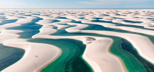 Foto: Wilson Santos Marques / Shutterstock.com