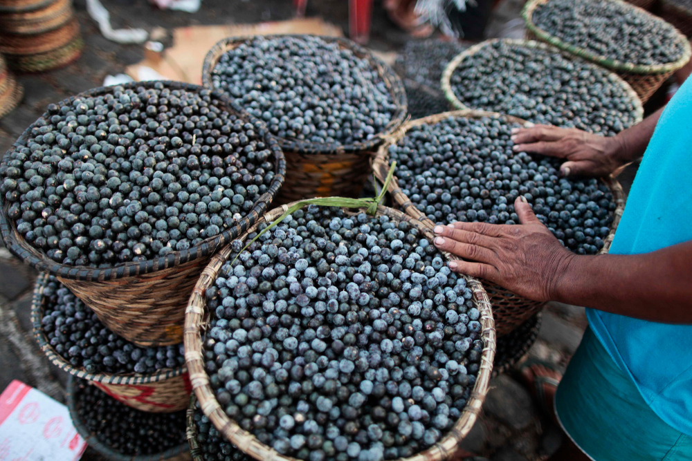 Foto: Nelson Antoine / Shutterstock.com