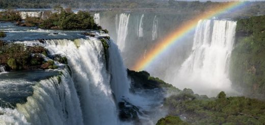 Foto: Cavan-Images / Shutterstock.com