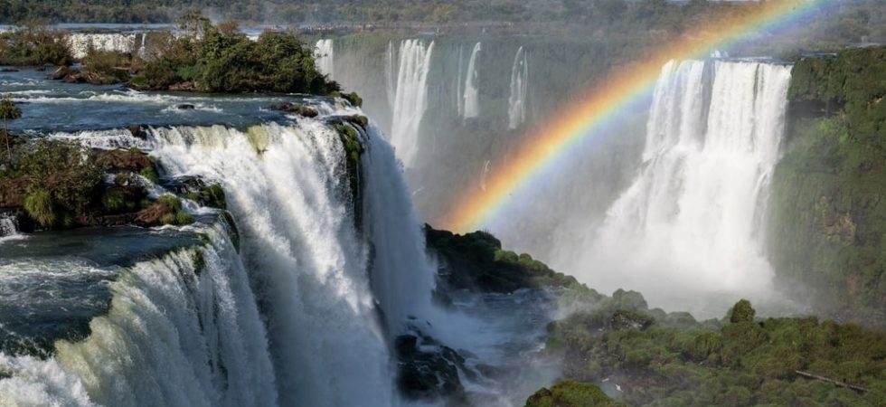 Foto: Cavan-Images / Shutterstock.com