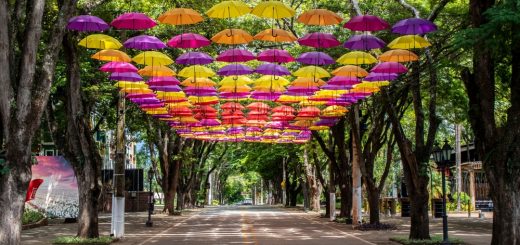 Foto: Alf Ribeiro / Shutterstock.com